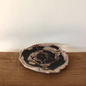 Bowls Plates Chopsticks: Petrified Wood Plate No.2