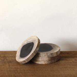 Coasters: Petrified Wood Coasters