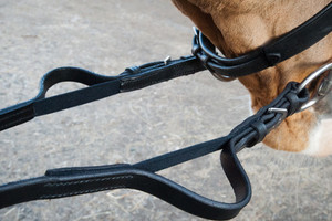 Products: Carl Hester Fantastic Elastic Reins Saddle4You2023
