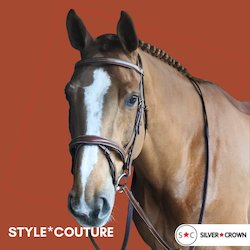 Silver Crown Bridles: Silver Crown Bridle Tetiere Bridle