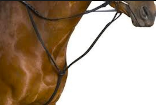 Breastplates & Martingale Fountain City Saddlery: Platinum Standing Martingale