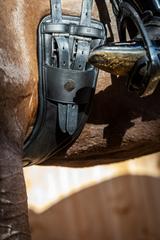 Le Mieux GelTek Anatomic Dressage Girth