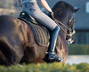 Saddle Pads & Numnahs Fountain City Saddlery: Le Mieux Carbon Mesh Saddle Pad