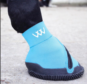 Products: WoofWear Medical Hoof Boot