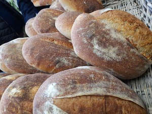 Bread: Organic Sourdough