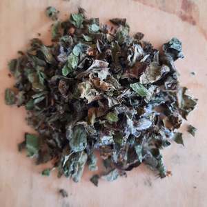 Bergomot (bee balm)