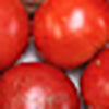 Tomato (red russian)