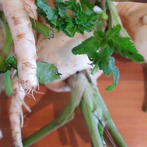 Products: Parsnip (spray free) p/ 100g