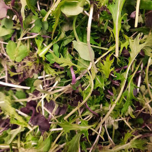 Salad Mix (spray free)