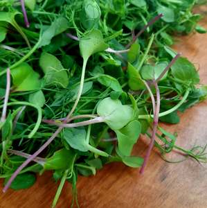 Produce: Microgreen Mix (spray free)