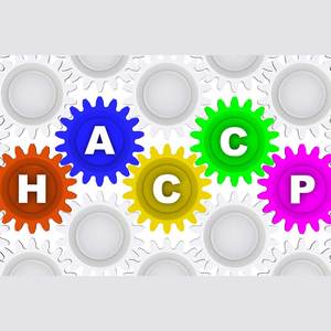 Products: Advanced Codex HACCP & Hazard Analysis for Risk Based Measures Workshop