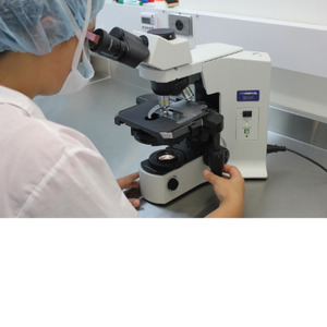 Extra Samples: Additional Asbestos Sample Test