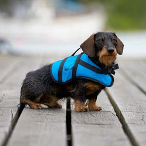 Baltic: Blue Pet Aid