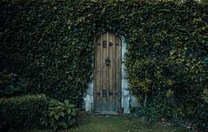 Products: Sage Journal