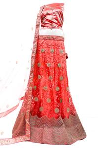 Netting based embroidery work with stone work lehnga & netting dupatta