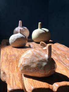 Lone Flower Vase - I