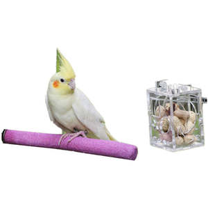 Birds: Bird Parrot Feeder