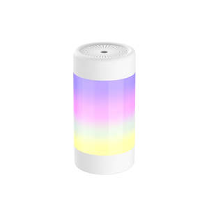 Humidifier LED Night Light Air Diffuser