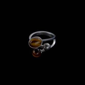 Frontpage: The Orbital Ring