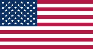 Tech Accessories: USA Flag