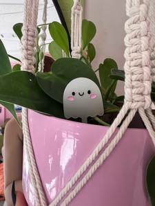 Tech Accessories: Ghost Plant Pal