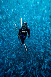 Whats On: Beginners Oceanic Hunter/Gatherer Day Trip - NEW DATES COMING SOON