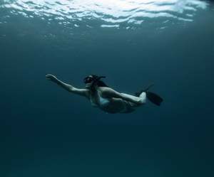Try Freediving – Ocean Experience, Whitianga