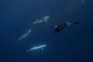 Salt Aotearoa: Salt Aotearoa gift card