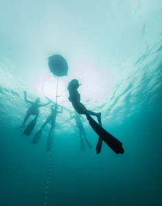 Freediving Courses Trips: Advanced Freediver 2-day SSI Course