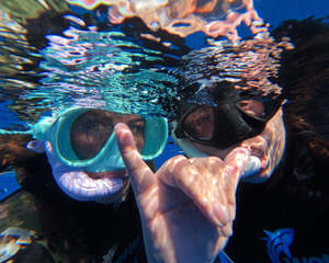 All Freediving Spearfishing Experiences Nz: Salt Session | Goat Island Dive & Snorkel