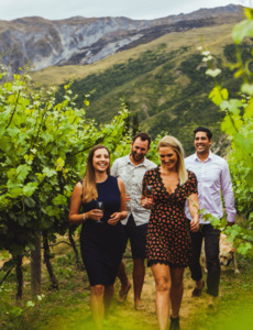Products: Altitude Wine Tours