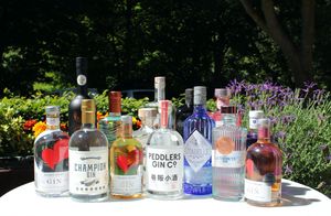 Products: Altitude Gin Tours