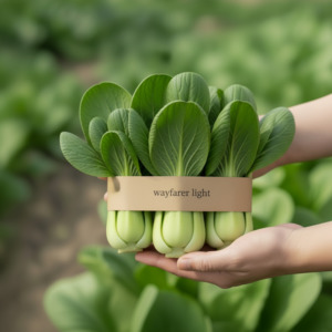 Paper Packaging: Paper Fresh Produce Labels | Plastic Replacement | NZ MADE