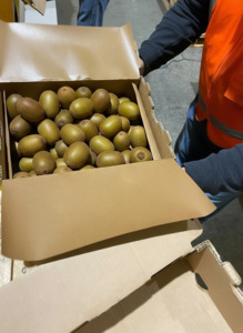 Linerless Boxes: LINERLESS KIWIFRUIT BOX | Plastic replacement | NZ MADE