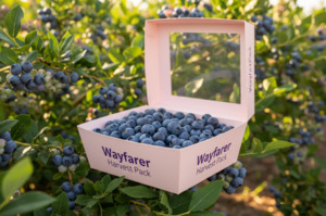 Linerless Boxes: Linerless Berry Box | Plastic Replacement