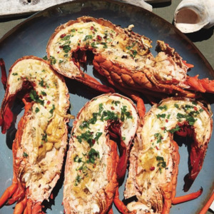 Products: XMAS PRE-ORDER: WA Lobster Half (Cooked) - Saltwater Seafoods NZ