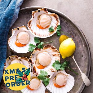 XMAS PRE-ORDER: Half Shell Scallops (Each) - Saltwater Seafoods NZ