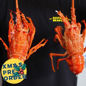 Products: XMAS PRE-ORDER: Crayfish (Whole Cooked) - Saltwater Seafoods NZ