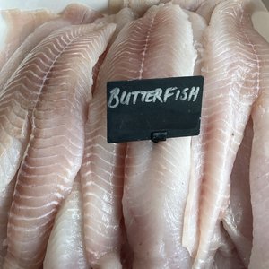 All Fresh Fish — Seafood — Saltwater Seafoods: Butterfish Fillets (Skinned & Boned) - Saltwater Seafoods NZ