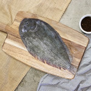 All Fresh Fish — Seafood — Saltwater Seafoods: Whole Sole 1KG - Saltwater Seafoods NZ