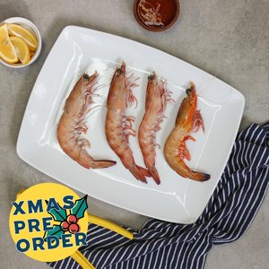 XMAS PRE-ORDER: Whole Raw Australian King Prawn (XXL) - Saltwater Seafoods NZ