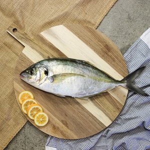 All Fresh Fish — Seafood — Saltwater Seafoods: Whole Trevally 1KG - Saltwater Seafoods NZ