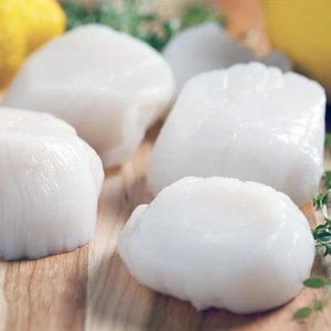 All Fresh Fish — Seafood — Saltwater Seafoods: Roe-Off Scallop 1KG - Saltwater Seafoods NZ