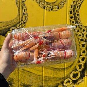 Products: Fresh NZ Scampi - Saltwater Seafoods NZ