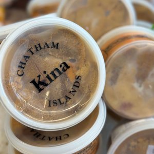 All Fresh Fish — Seafood — Saltwater Seafoods: Chatham Island Kina - Saltwater Seafoods NZ
