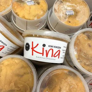 All Fresh Fish — Seafood — Saltwater Seafoods: Fresh Kiwi Kwizen Kina - Saltwater Seafoods NZ