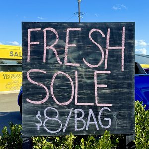 All Fresh Fish — Seafood — Saltwater Seafoods: Bag of Fresh Sole 1.3KG - Saltwater Seafoods NZ