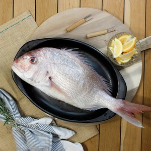 All Fresh Fish — Seafood — Saltwater Seafoods: Whole Snapper 1KG - Saltwater Seafoods NZ