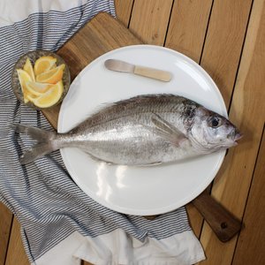 All Fresh Fish — Seafood — Saltwater Seafoods: Whole Tarakihi 1KG - Saltwater Seafoods NZ