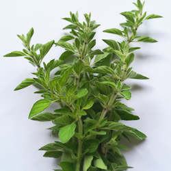 Herbs: Oregano - 20g